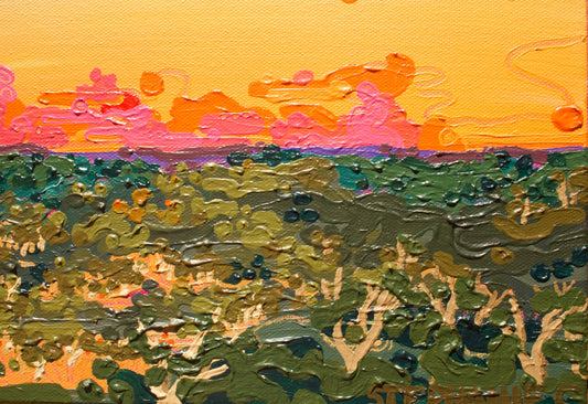 'Red Hot Summer' - Close Up