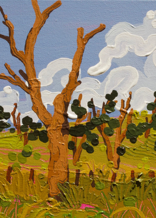 Weswal Gallery