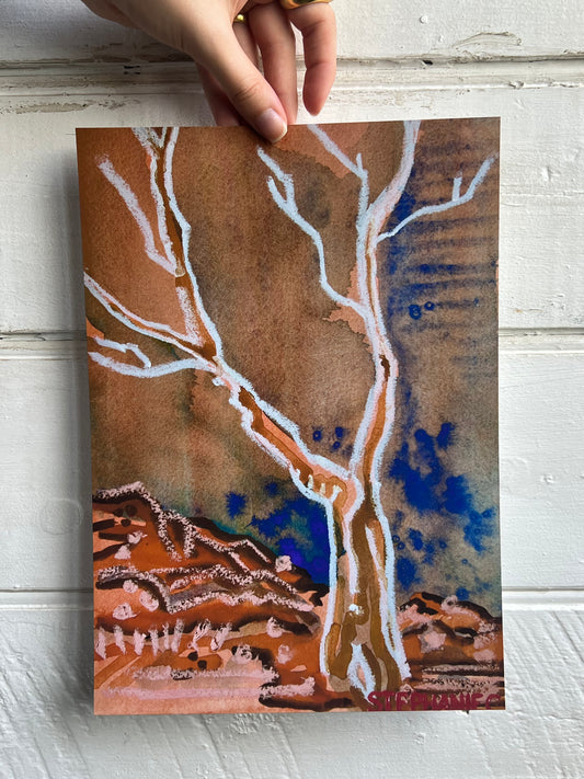 ‘Goodnight Gumtrees’