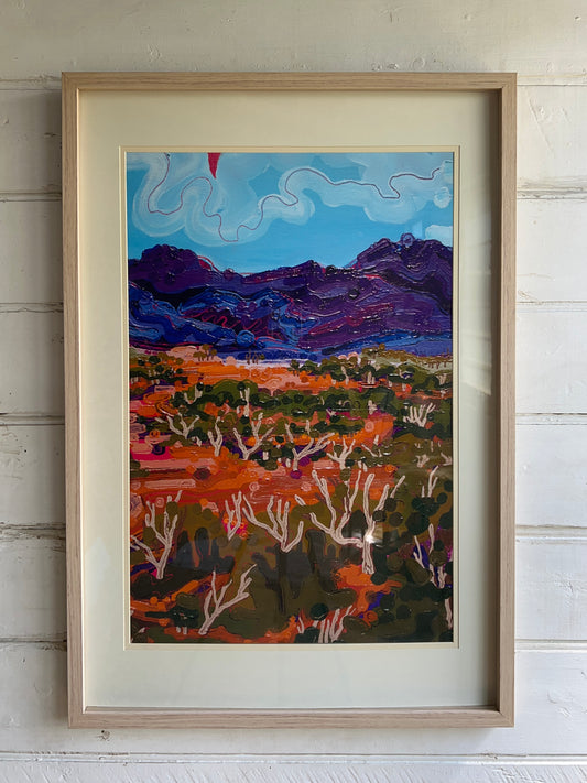 ‘Four Days in the Flinders’ (close up)
