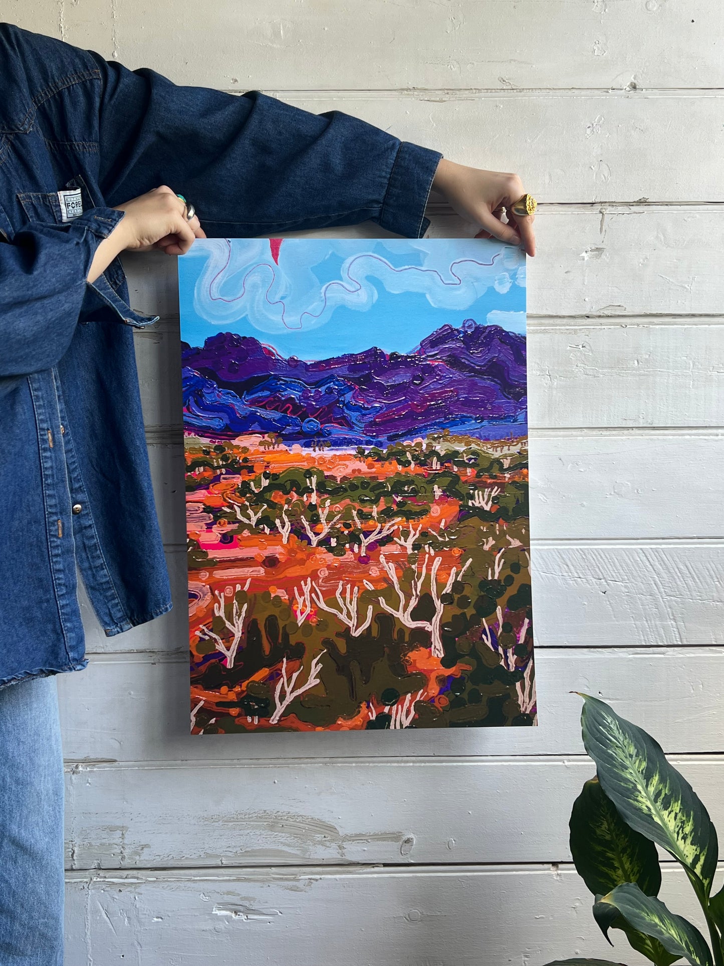 ‘Four Days in the Flinders’ (close up)