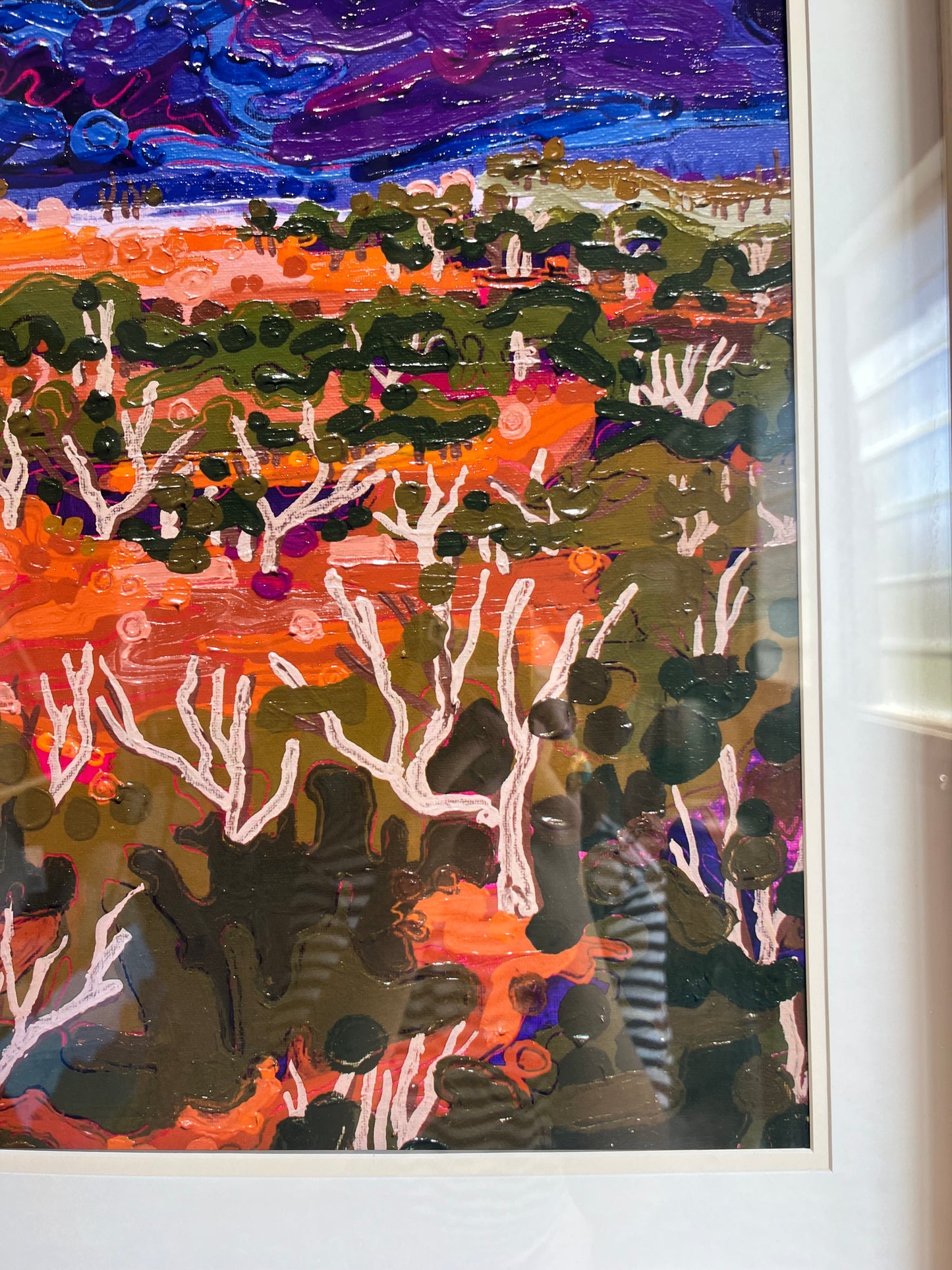 ‘Four Days in the Flinders’ (close up)