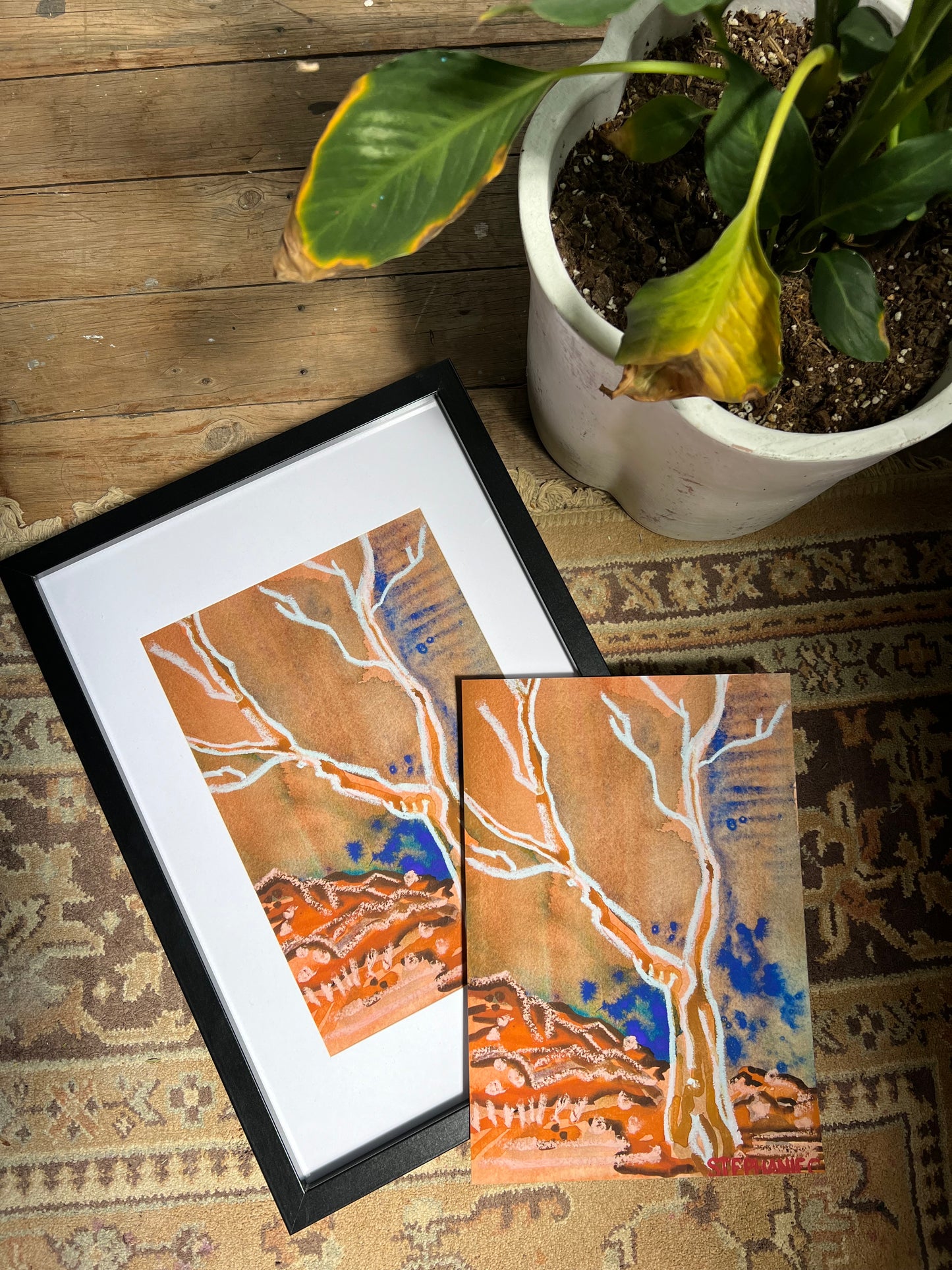 ‘Goodnight Gumtrees’