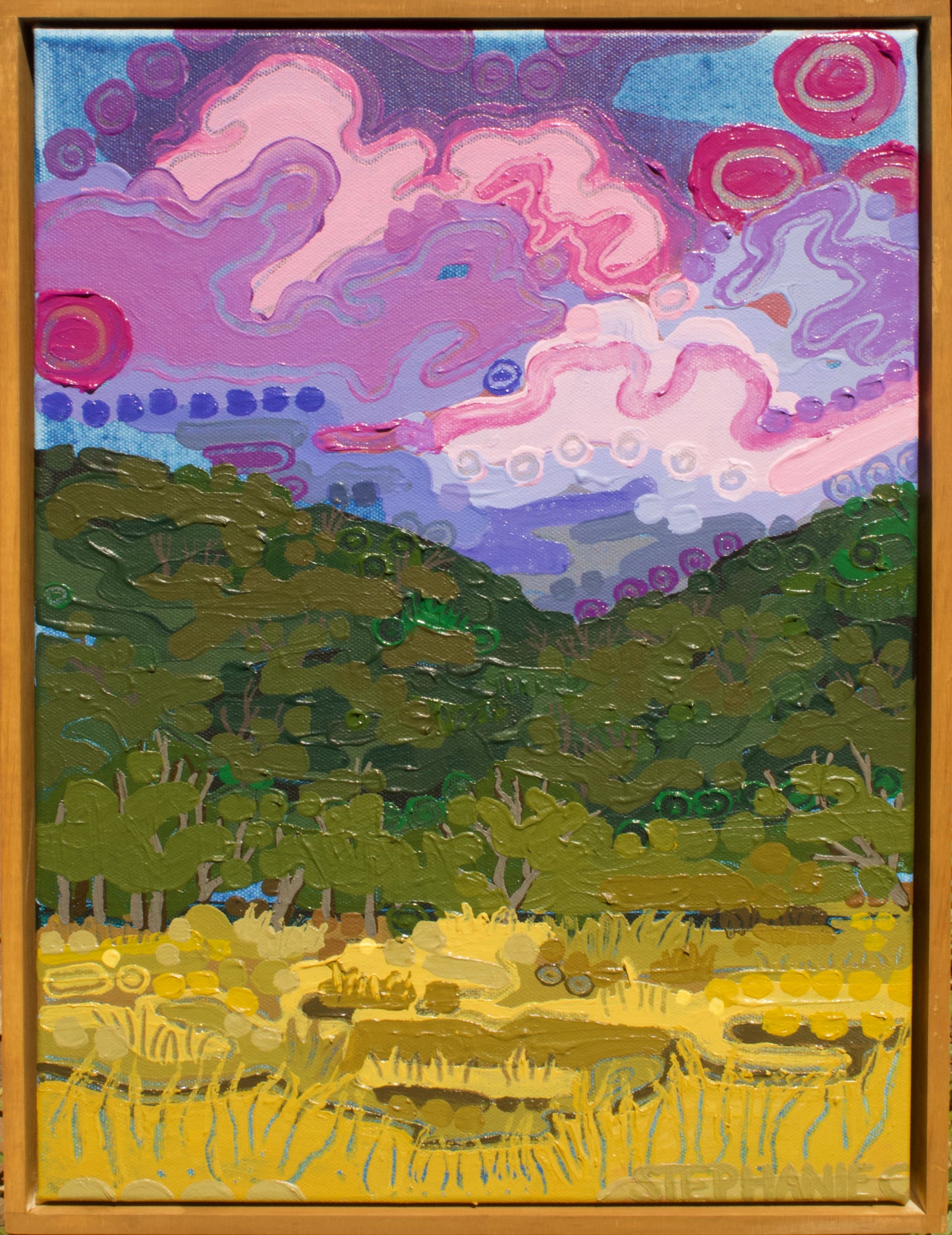 ‘The Back Paddock’