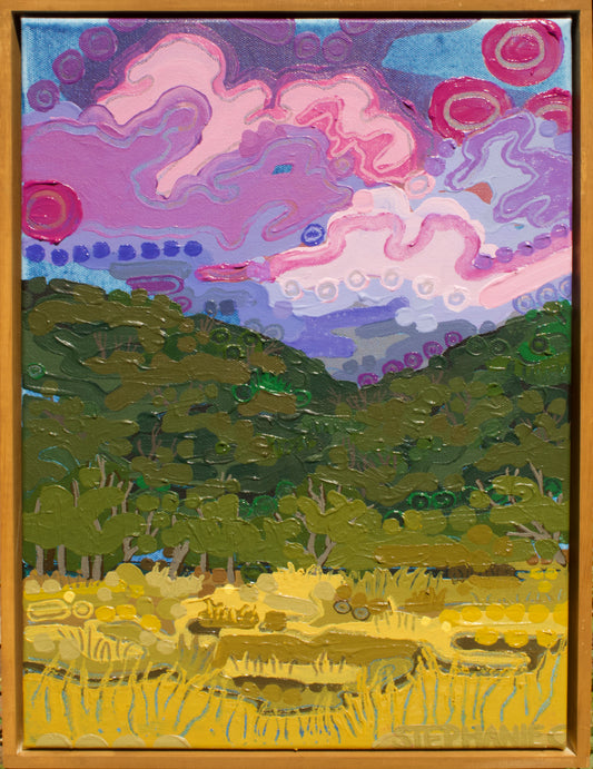 ‘The Back Paddock’