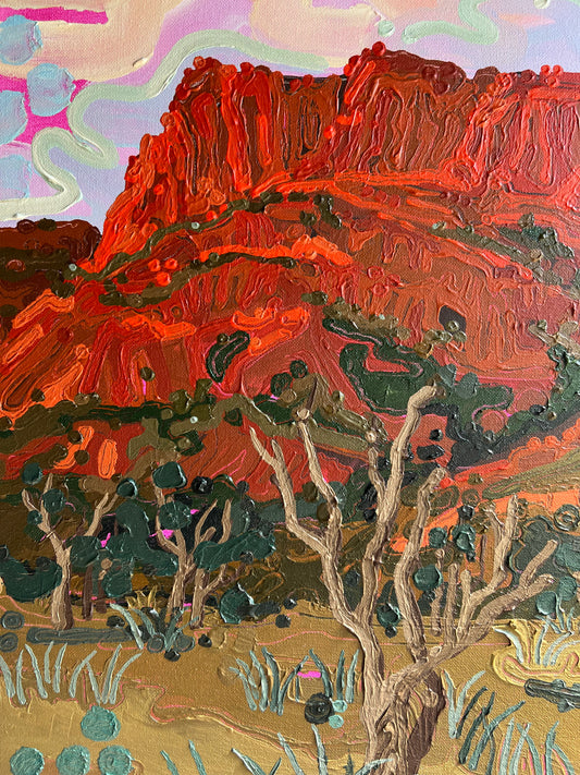 ‘Wilpena Pound’